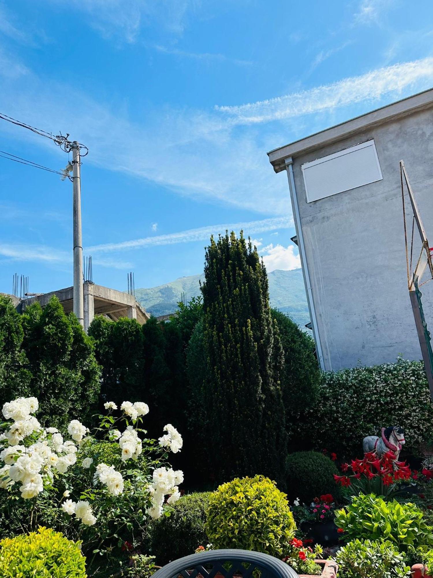 Ferienwohnung Green Oasis Kotor Exterior foto